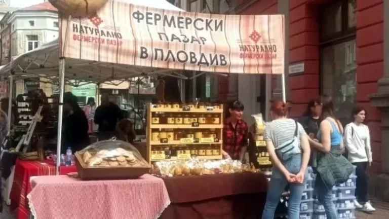 1200_471236