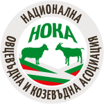 NOKA_Logo